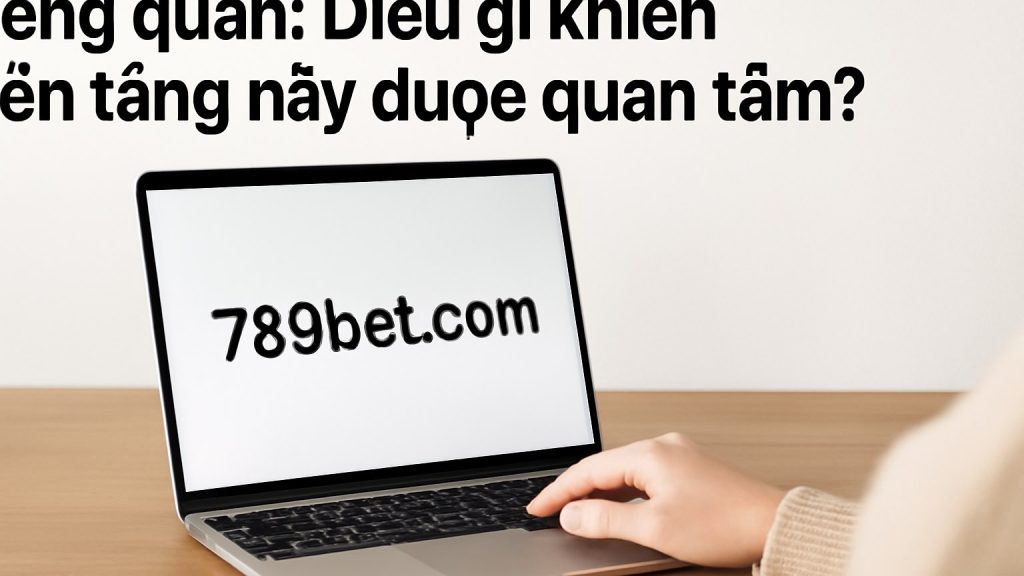 Minh họa: Tổng quan: Điều gì khiến nền tảng này được quan tâm?